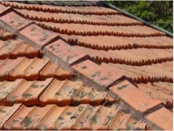Roof shingles